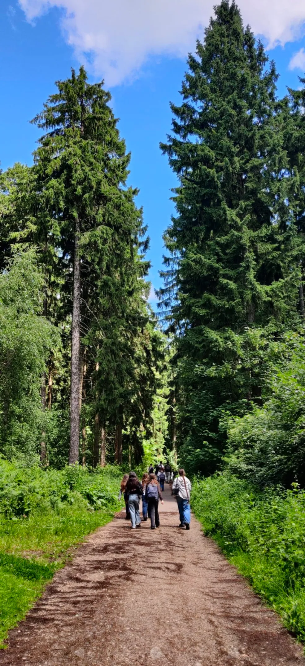 Aix La Chapelle juin 2026 — Bol d'air en forêt