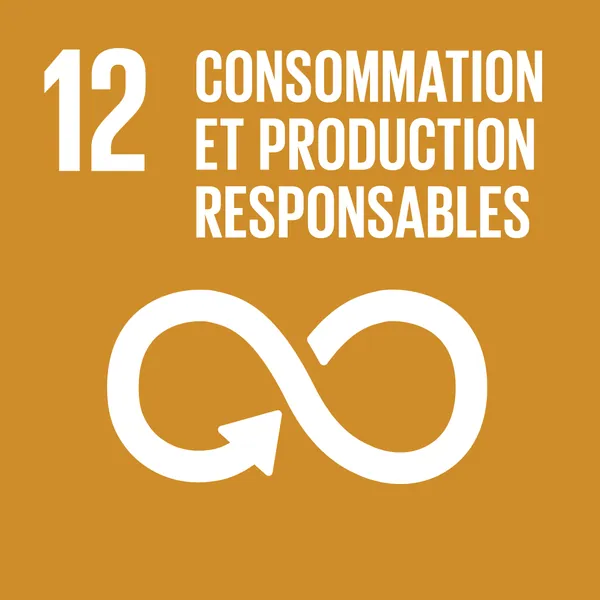 Objectif 12 : Consommation et production responsable