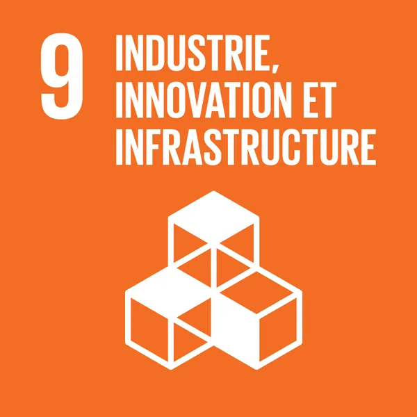 Objectif 9 : Industrie, innovation et infrastructure